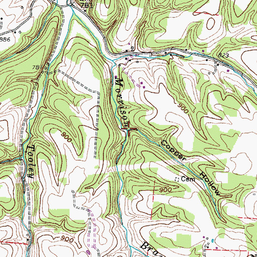 Topographic Map of Copper Hollow, TN