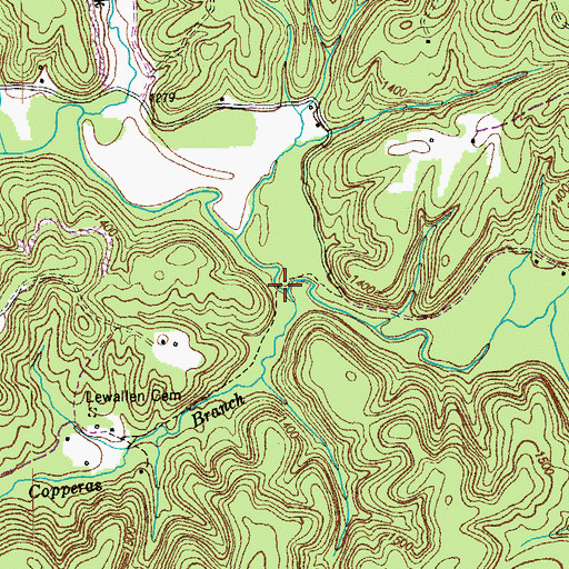 Topographic Map of Copperas Branch, TN