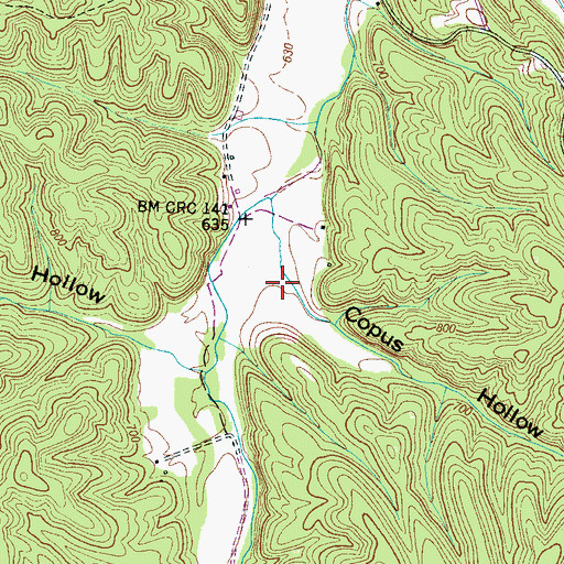 Topographic Map of Copus Hollow, TN
