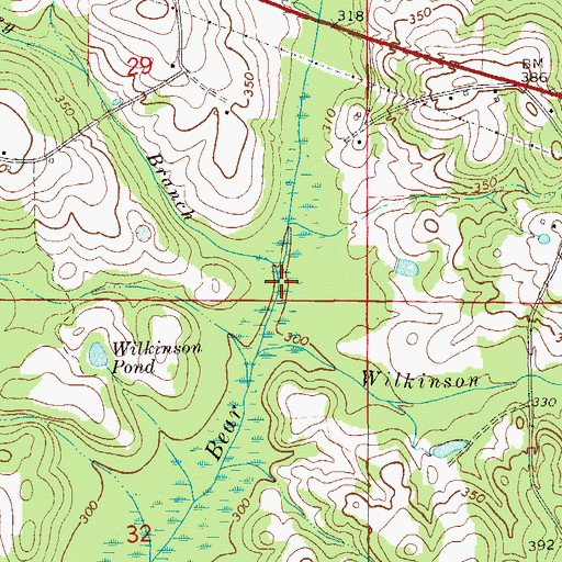 Topographic Map of Turkey Branch, AL