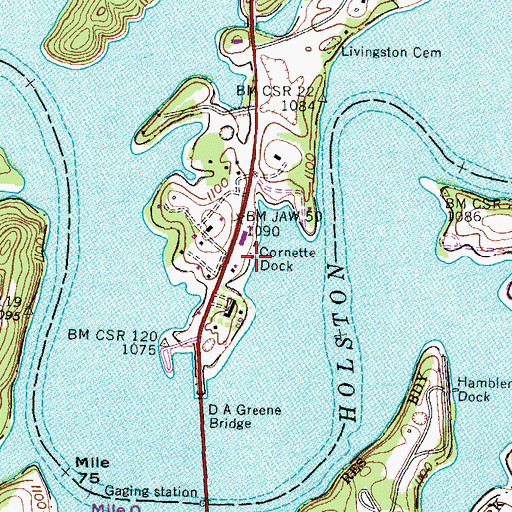 Topographic Map of Cornette Dock, TN