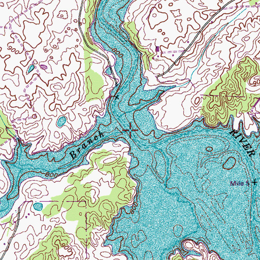 Topographic Map of Corntassel Branch, TN