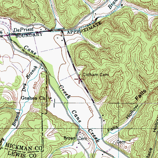 Topographic Map of Cotham Cemetery, TN