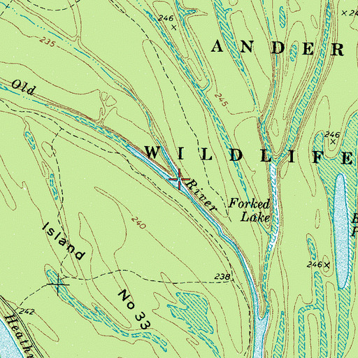 Topographic Map of Cotton Slough, TN