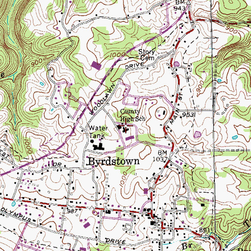 Topographic Map of County High School, TN
