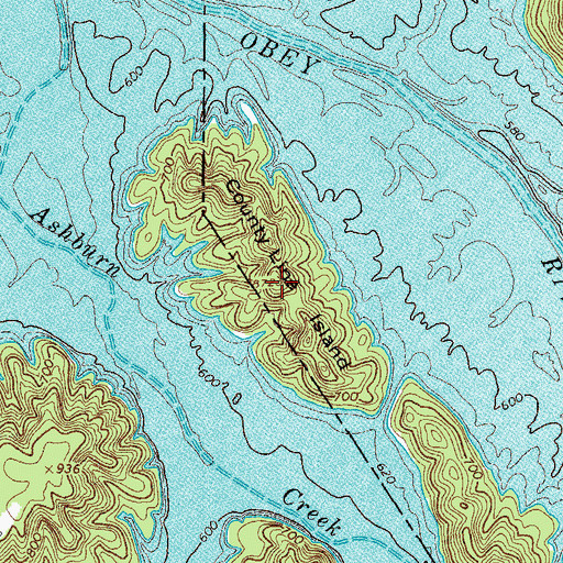Topographic Map of County Line Island, TN