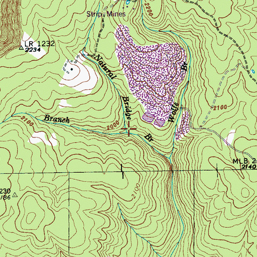 Topographic Map of Cove Branch, TN