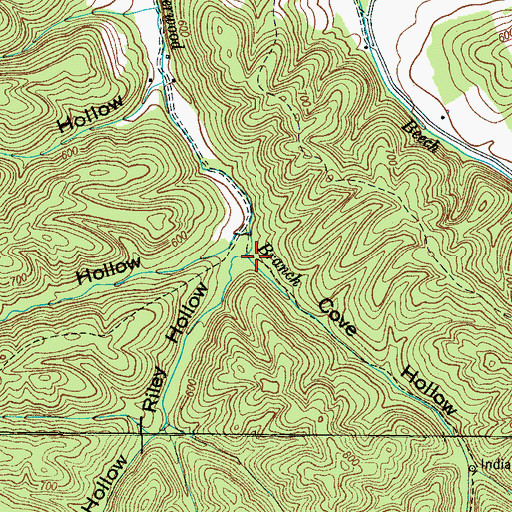 Topographic Map of Cove Hollow, TN