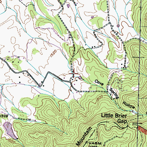 Topographic Map of Cove Spring Hollow, TN