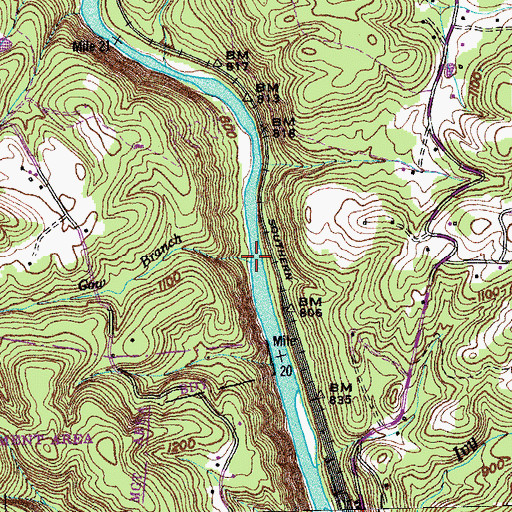 Topographic Map of Cow Branch, TN