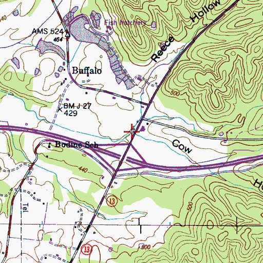 Topographic Map of Cow Hollow, TN