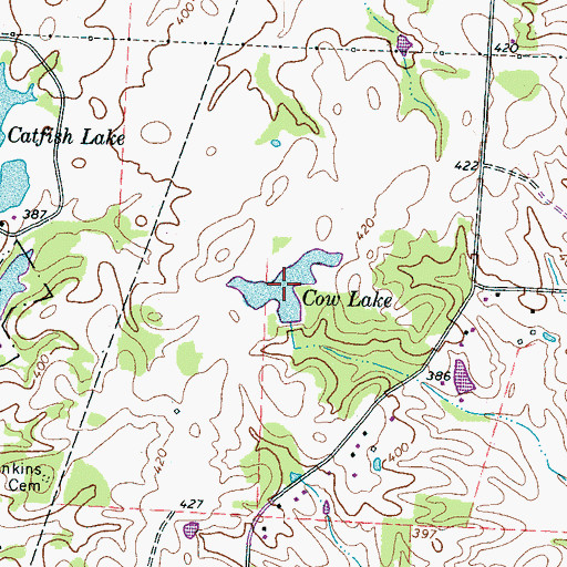 Topographic Map of Cow Lake, TN