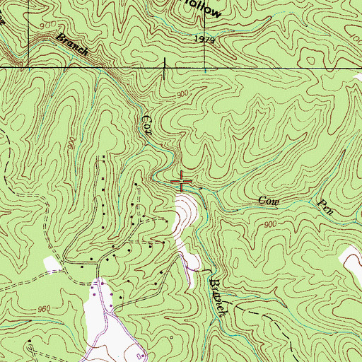 Topographic Map of Cow Pen Branch, TN