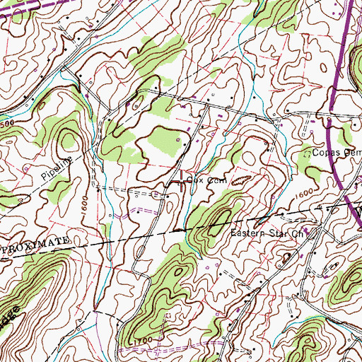 Topographic Map of Cox Cemetery, TN