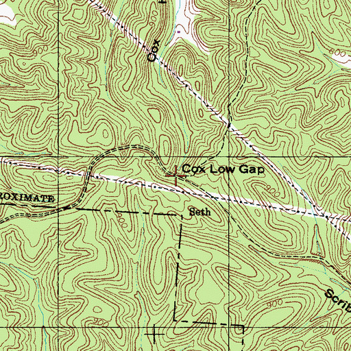 Topographic Map of Cox Low Gap, TN