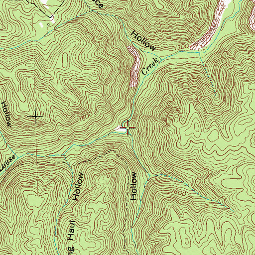 Topographic Map of Crabapple Hollow, TN