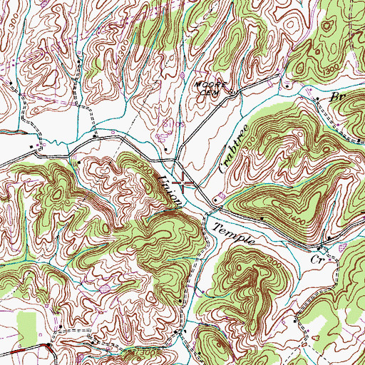 Topographic Map of Crabtree Branch, TN