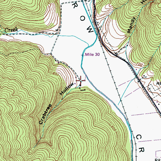 Topographic Map of Crabtree Hollow, TN