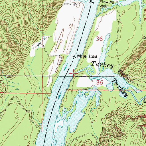Topographic Map of Turkey Creek, AL