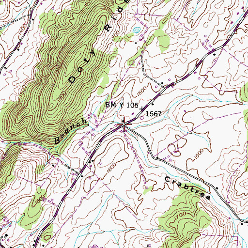 Topographic Map of Crabtree Hollow, TN