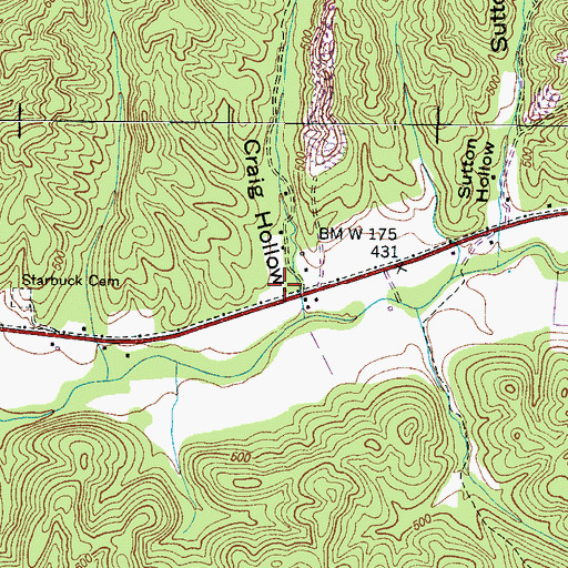 Topographic Map of Craig Hollow, TN