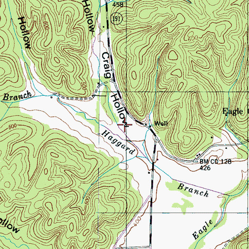 Topographic Map of Craig Hollow, TN