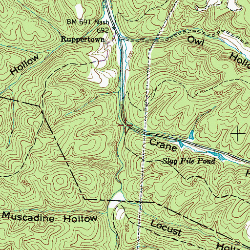 Topographic Map of Crane Hollow, TN