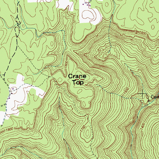 Topographic Map of Crane Top, TN