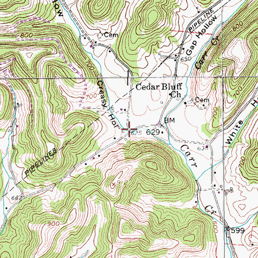 Topographic Map of Creasy Hollow, TN