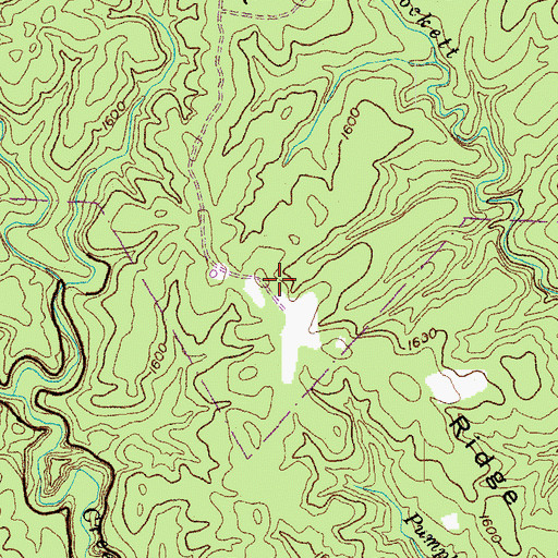 Topographic Map of Crockett Ridge, TN