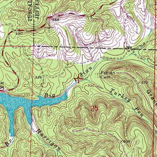 Topographic Map of Turkey Pen Branch, AL