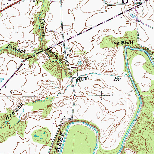 Topographic Map of Crowfoot Branch, TN