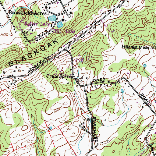Topographic Map of Cruze Spring, TN