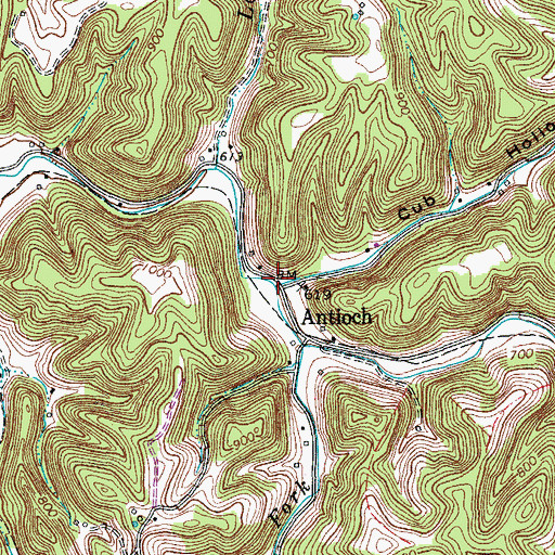 Topographic Map of Cub Hollow, TN