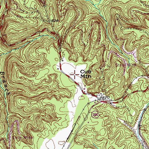 Topographic Map of Cub Mountain, TN