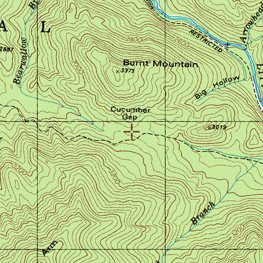 Topographic Map of Cucumber Gap, TN
