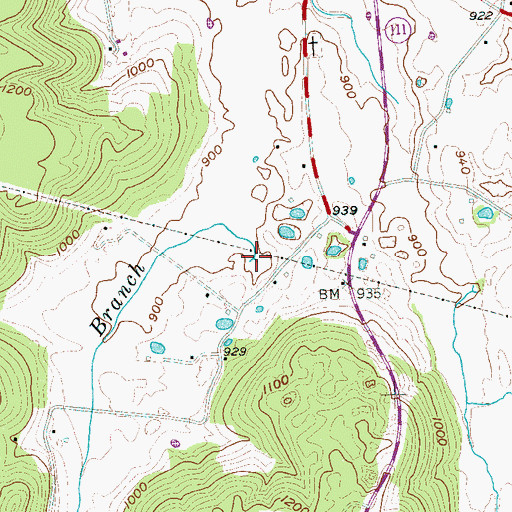 Topographic Map of Cummings Cove Branch, TN