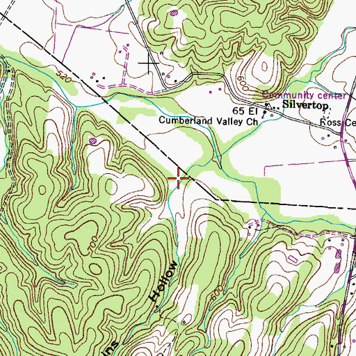 Topographic Map of Cummins Hollow, TN