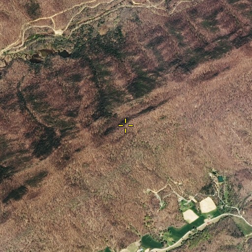 Aerial/Satellite Image of Cup Gap, TN