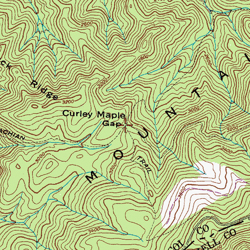Topographic Map of Curley Maple Gap, TN
