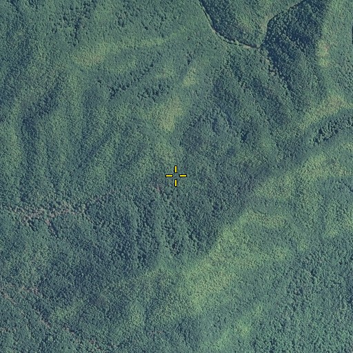 Aerial/Satellite Image of Curry Gap, TN