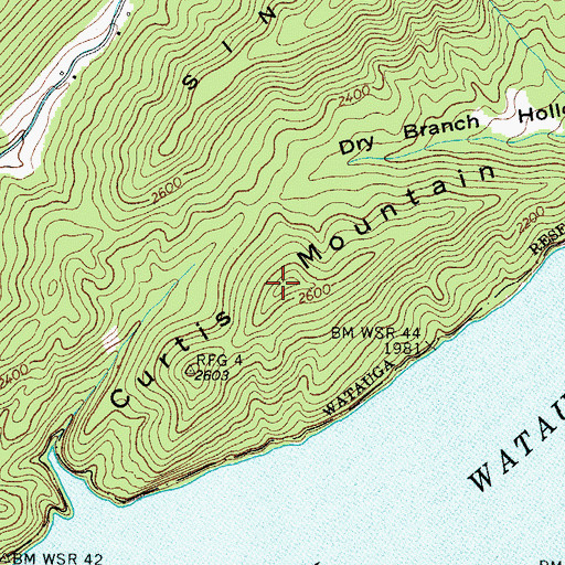 Topographic Map of Curtis Mountain, TN