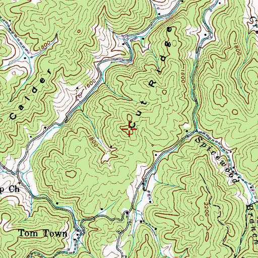 Topographic Map of Cut Ridge, TN