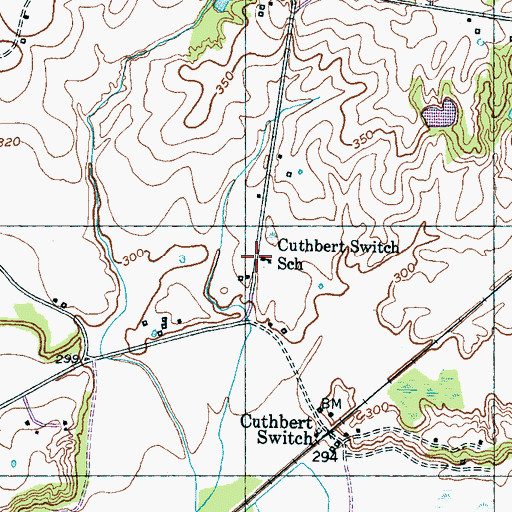 Topographic Map of Cuthbert Switch School, TN