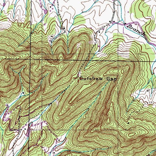 Topographic Map of Cutshaw Gap, TN