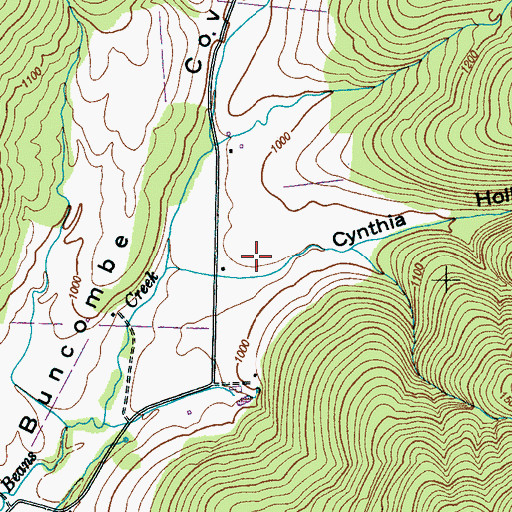 Topographic Map of Cynthia Hollow, TN