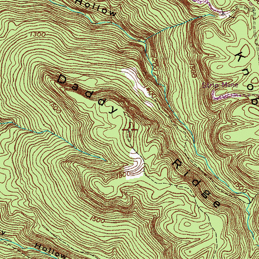 Topographic Map of Daddy Ridge, TN