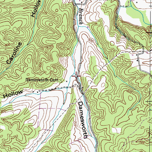 Topographic Map of Damesworth Hollow, TN