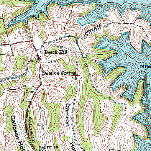 Topographic Map of Damron Spring, TN