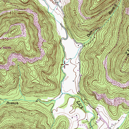 Topographic Map of Dan Branch, TN